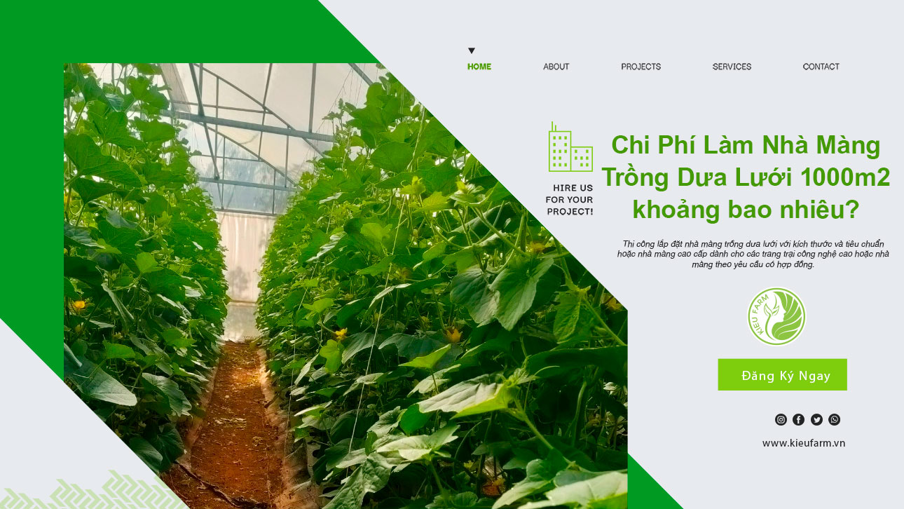 Tổng hợp 97 hình về mô hình trang trại 1000m2 daotaonec #20 Tổng hợp 97 hình về mô hình trang trại 1000m2 daotaonec